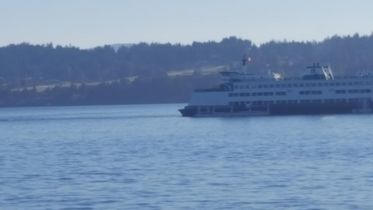 By The Sea Bnb, Sidney Victoria Bc Dış mekan fotoğraf